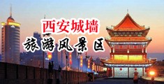 贵妇H中国陕西-西安城墙旅游风景区