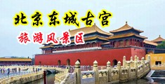拳头操逼中国北京-东城古宫旅游风景区